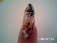 enyém volt régebben akrillal festve