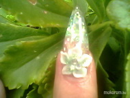 jégfóliás porci virággal