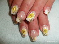 új vendégemnek szeretettel