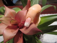 Zselé gyakorlás akrillal