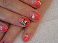 Best Nails - zselé és akril