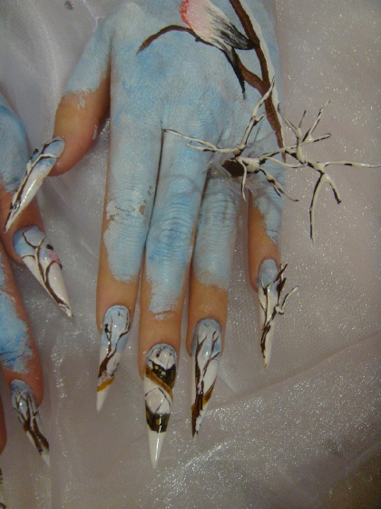 Tifrea Raluka - Nail Artist Kupa 6. helyezet - 2009-11-26 22:20