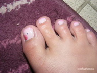 Málna vég szárított virággal