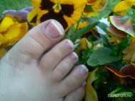 Best Nails - zselés francia