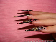 40. Vankovicsné Hári Erika