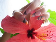 Orosz mandula magamnak porcelán