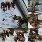 Best Nails - CN  European Nail Cup 3D versenymunkám