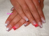 Francia leopárdos 2012