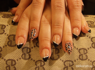 porci ezüst feketében