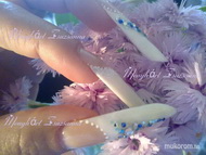 Best Nails - Acrylic nail pictures