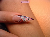 porci beépített virág