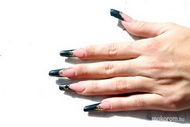 elegant nails