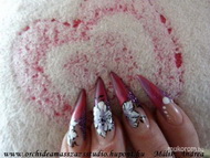 Orchidea Masszázs Stúdió