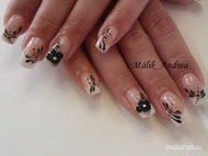 Orchidea Masszázs Stúdió