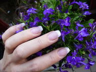 Best Nails - 3 hetes francia