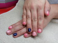 Best Nails - Porci