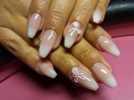 Baby Boomer masnival