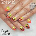 Best Nails - Műköröm 