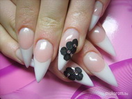 fekete porcivirággal