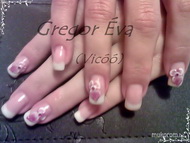 Timi virágosat szeretett volna