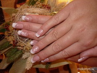 Ági rózsaszin virággal