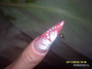 épített porci akrillal