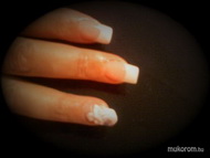 Épített porcelán köröm