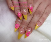 chameleon gel melegben