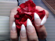 Best Nails - munkáim