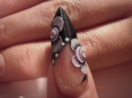 Edge-m és a porcivirágaim