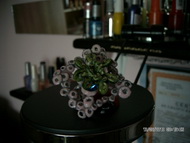 probalkozas :) gyuru porcelanbol