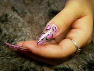 Szandi pink leopárdja