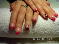 Hozott kép alapján