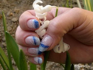 saját köröm zselé