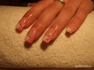 Francia kagylóhéjjal