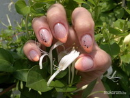 saját köröm zselé