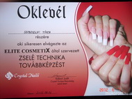 zselé technikai továbbképzés