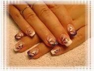 francia fehér lila virággal