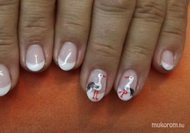 gólyák gyűrűzésre