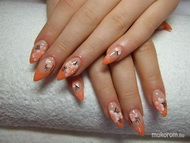 Narancs barack virágokkal