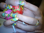 Vendég elképzelése szerint