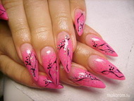 vége a vizsgáknak jöhet a hosszú színes