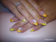 Andinak új vendégem