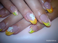 Andinak új vendégem