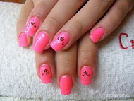 saját köröm zselé