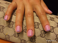 thermo gellac