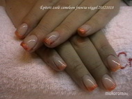 Cameleon francia vég