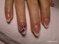 Francia pillangóval