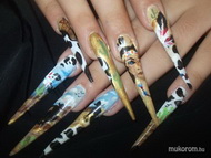 Beuty pálya munkám a versenyre