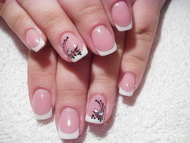 Francia Zselés Kitti